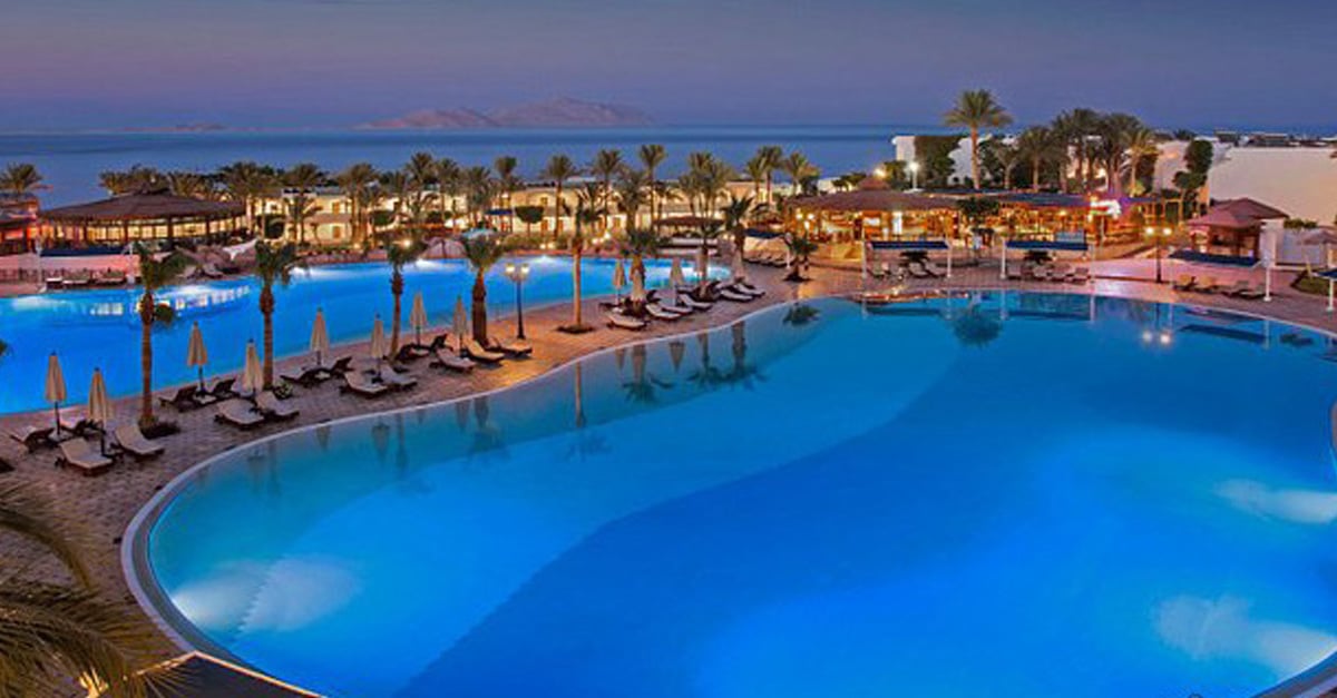 sultan-gardens-case-study-q4-2025